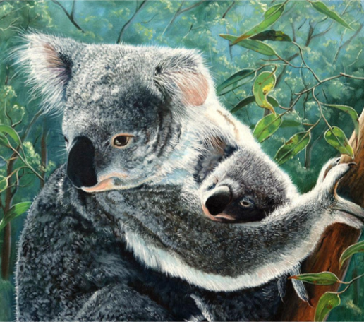 500pc - Koala and Baby (Square)