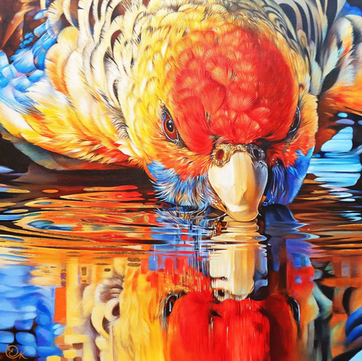 121pc - Golden Hour - Adelaide Rosella (Square)